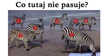 co-tutaj-nie-pasuje-do-calosci